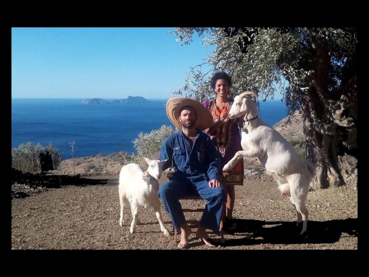 Sea Breeze Ecological Villa Agia Galini  Bagian luar foto