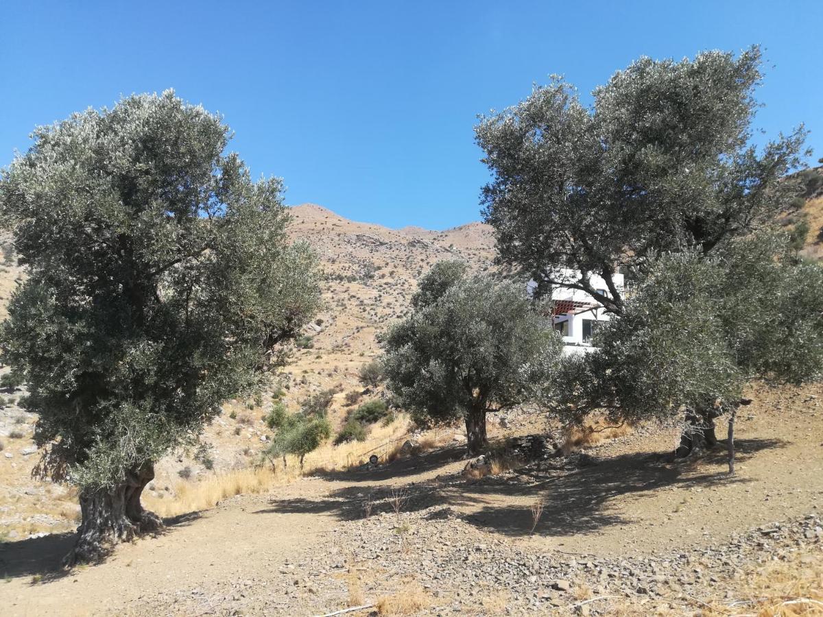 Sea Breeze Ecological Villa Agia Galini  Bagian luar foto
