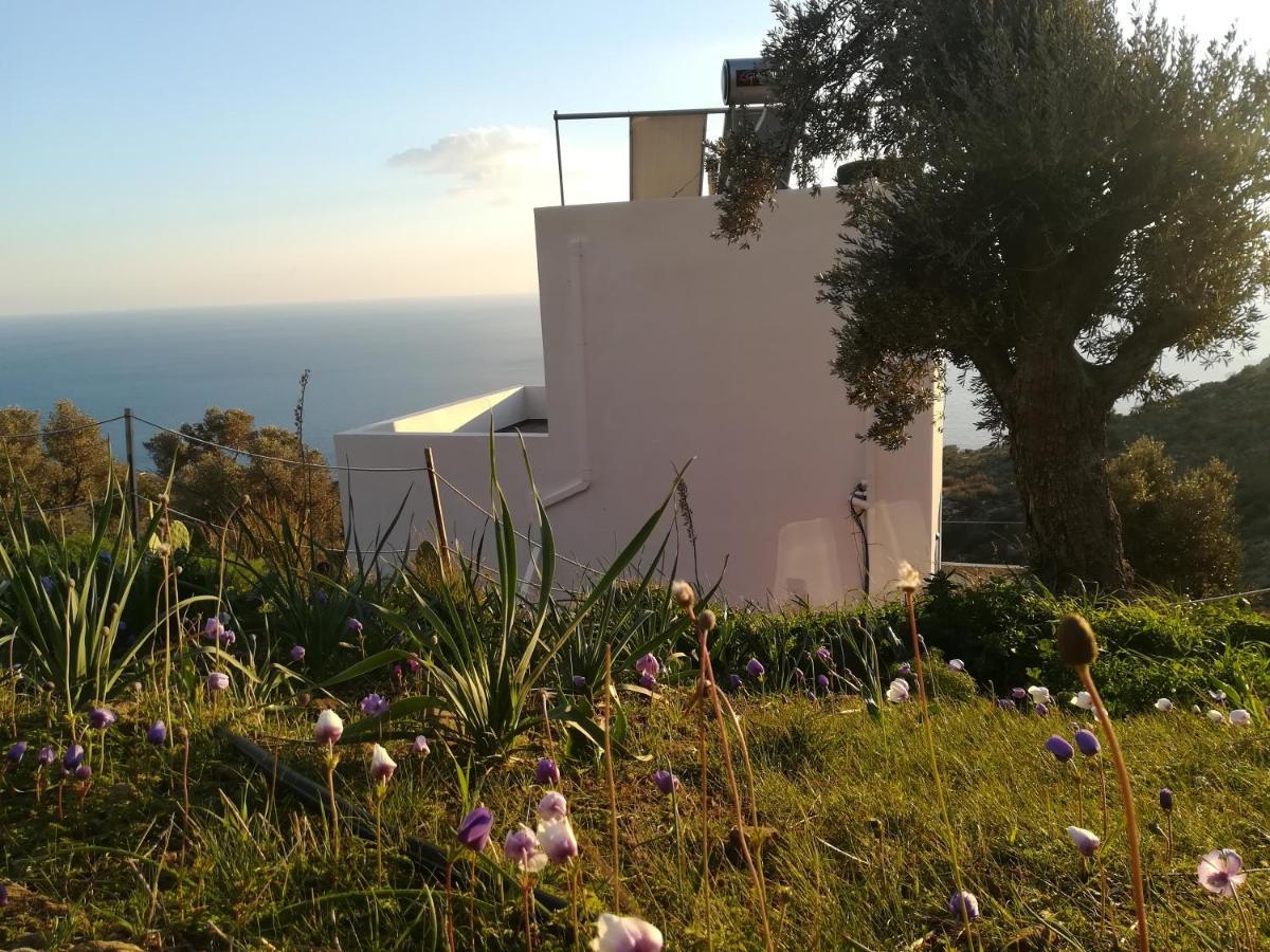 Sea Breeze Ecological Villa Agia Galini  Bagian luar foto